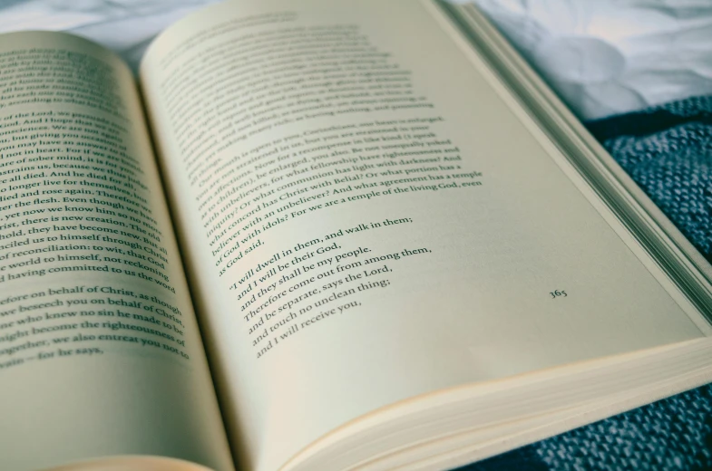 an open book sitting on top of a bed, by Carey Morris, unsplash, private press, calligraphic poetry, in muted colours, reading in library, high angle close up shot