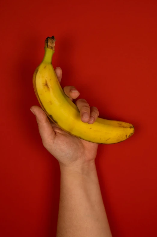 a person holding a banana in their hand, an album cover, by Dan Luvisi, pexels, red and yellow, 15081959 21121991 01012000 4k, slightly erotic, photographed for reuters