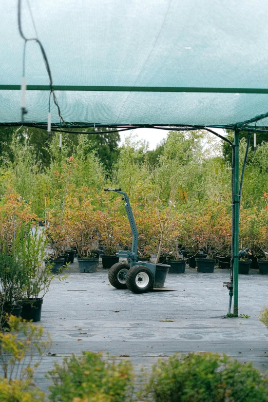 a man pushing a cart through a garden center, arbeitsrat für kunst, sparse trees, orange plants, zoomed out to show entire image, willows