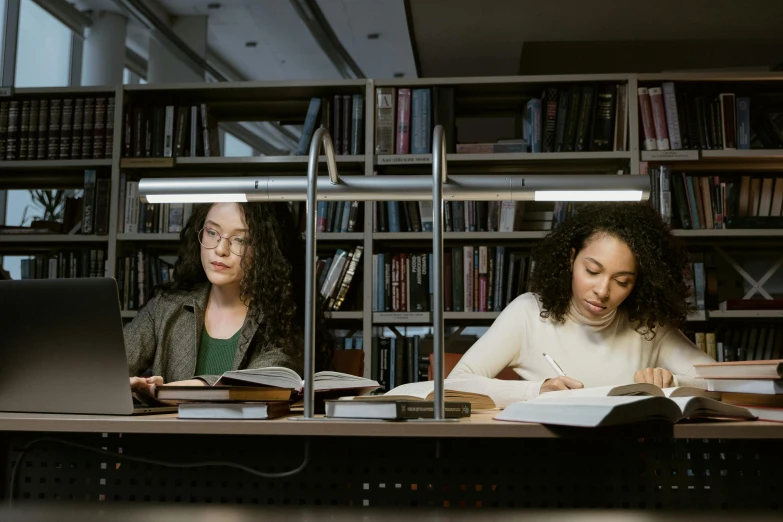 a couple of women sitting at a table in front of a laptop, pexels contest winner, academic art, spiral shelves full of books, varying ethnicities, slight overcast lighting, schools