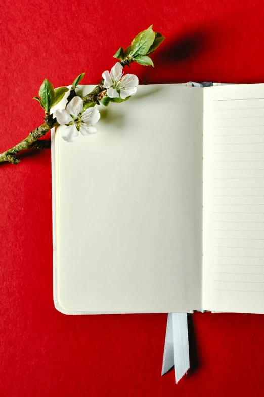 an open notebook with a flower on a red background, unsplash, almond blossom, 15081959 21121991 01012000 4k, thumbnail, no - text no - logo