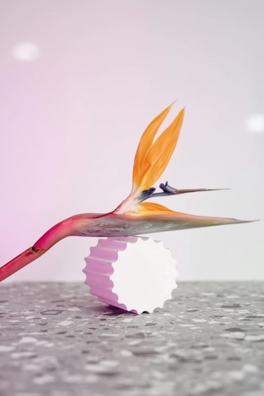 a bird of paradise flower sitting on top of a table, inspired by Koson Ohara, kinetic art, cupcake, showstudio, 3 d nft, playful composition