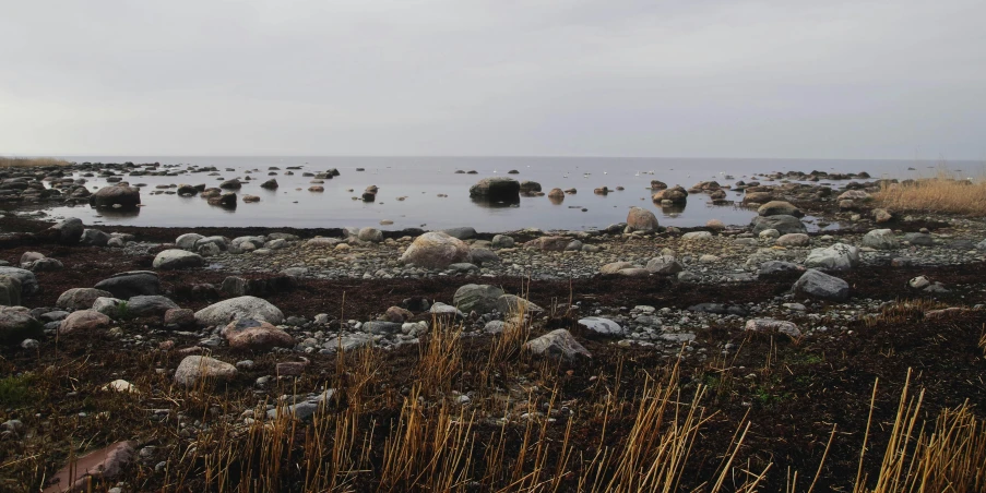 a body of water surrounded by rocks and grass, a picture, by Christen Dalsgaard, unsplash, land art, grey sky, eero aarnio, sea weed, brown cobble stones