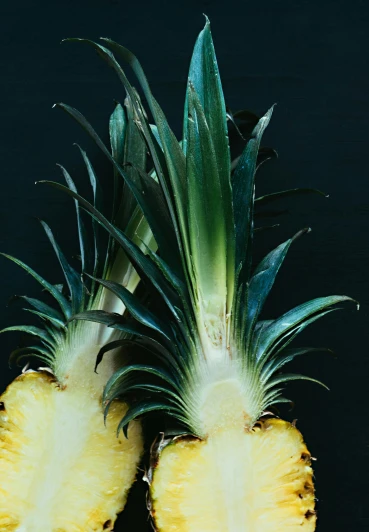 a couple of pineapples sitting next to each other, by Emanuel de Witte, unsplash, photorealism, ektachrome color photograph, on black background, slide show, high angle close up shot