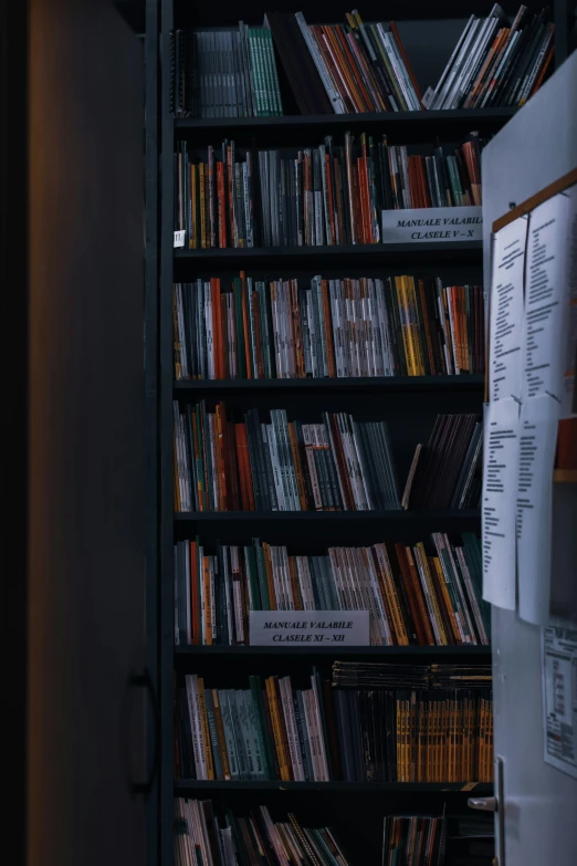 a book shelf filled with lots of books, an album cover, unsplash, analytical art, standing in a dimly lit room, research center, shot from movie, sheet music