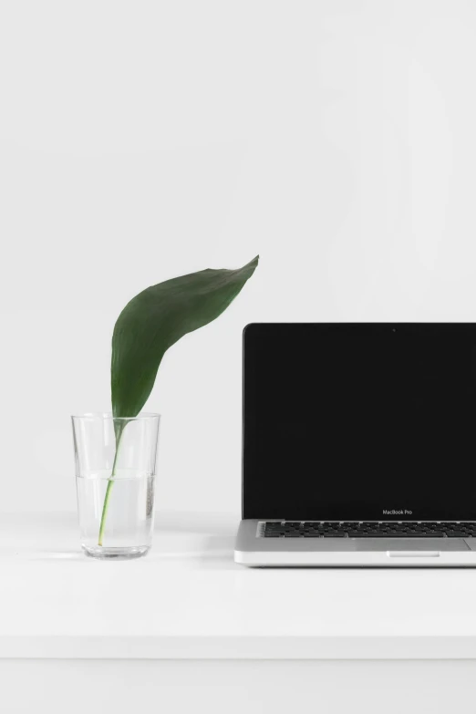 a laptop computer sitting on top of a white desk, by Carey Morris, minimalism, microchip leaves, transparent, promo image, blooming