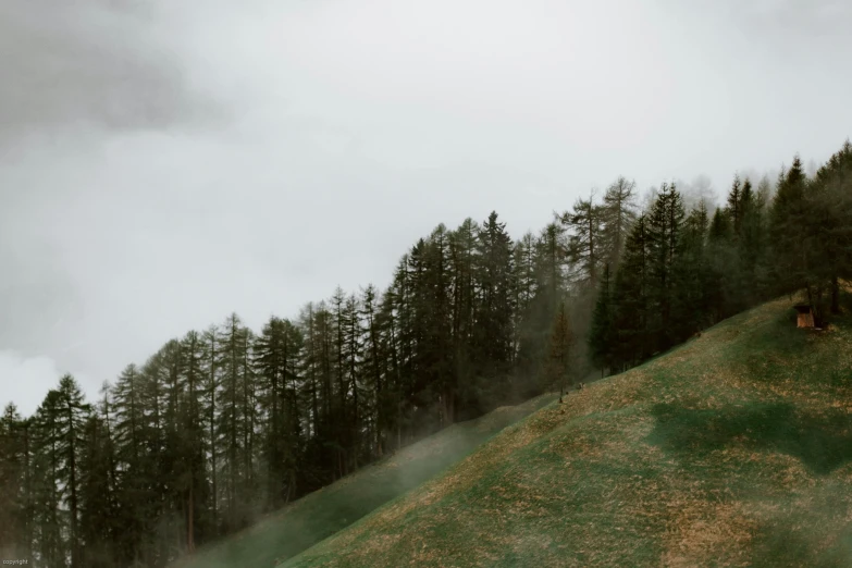 a man riding a snowboard down a snow covered slope, by Emma Andijewska, unsplash contest winner, process art, trees in the grassy hills, overcast, in the dolomites, smoke - filled ， green hill