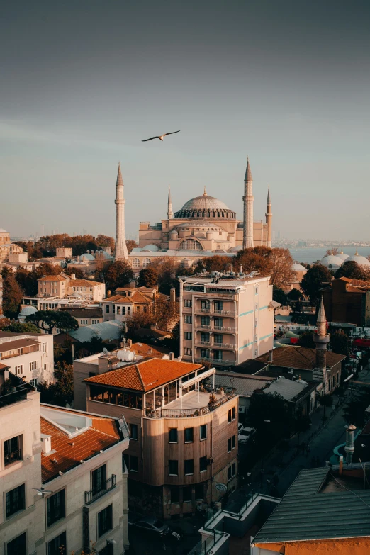 a view of a city from the top of a building, a colorized photo, pexels contest winner, hurufiyya, turkish and russian, cathedral in the background, 🚿🗝📝