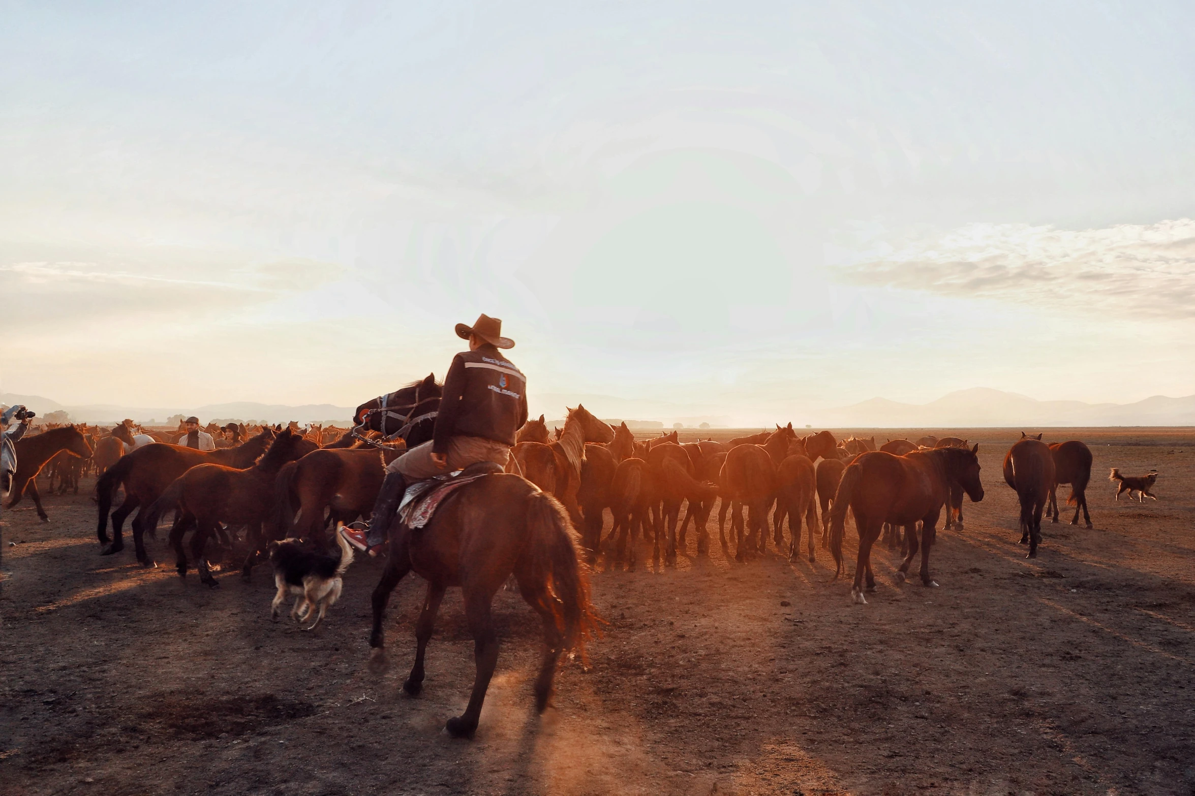 a man riding on the back of a brown horse, by Jessie Algie, unsplash contest winner, cowboys, herds fighting, sundown, australian