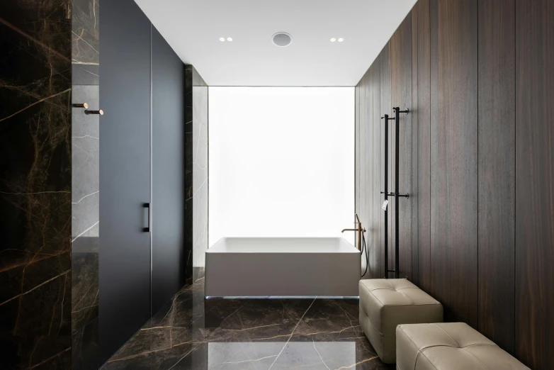 a white bath tub sitting in a bathroom next to a walk in shower, inspired by David Chipperfield, unsplash, black and brown, thumbnail, penthouse, dramatic lighting - n 9