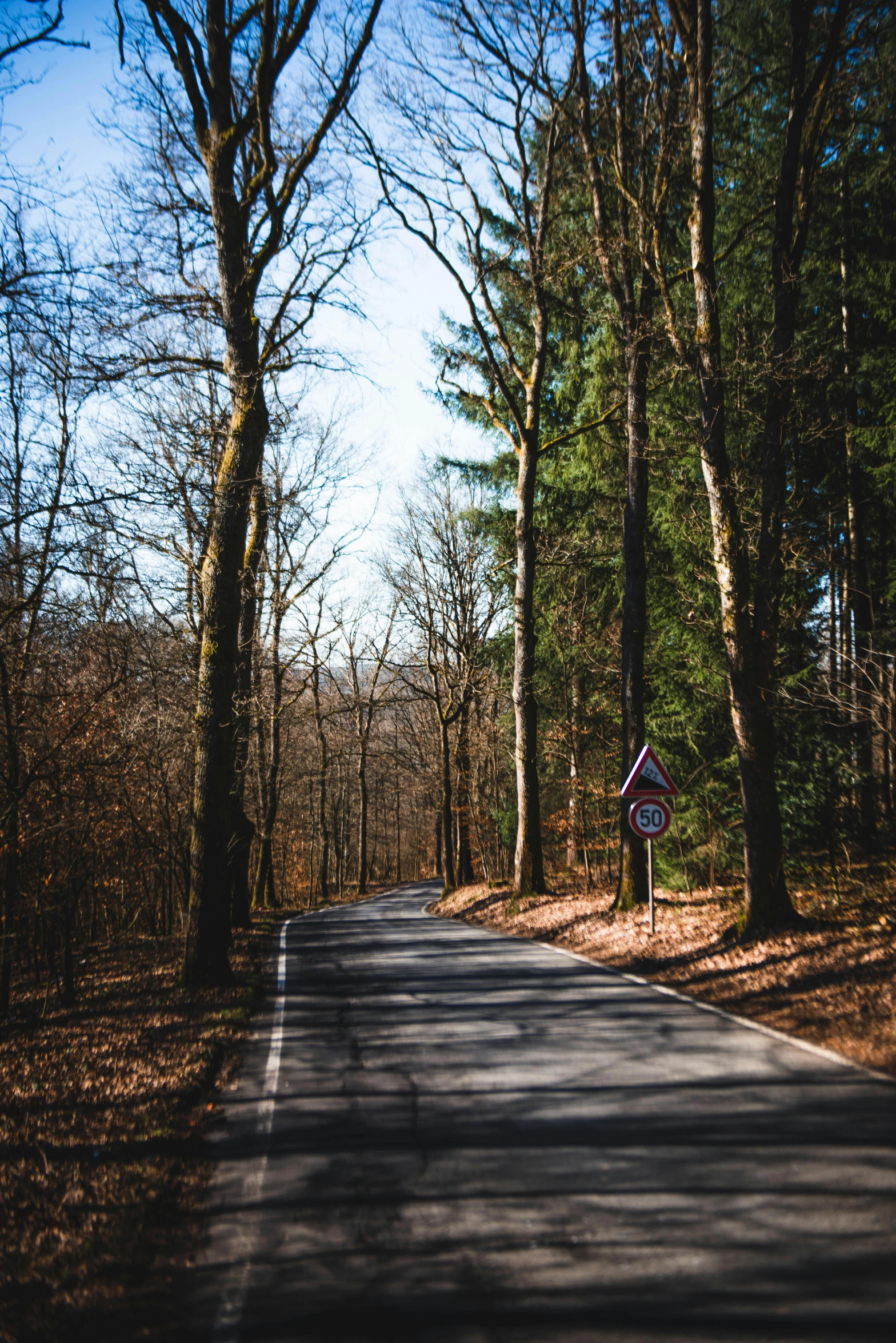 a road in the middle of a wooded area, 🚿🗝📝, germany. wide shot, shot with premium dslr camera, traffic signs