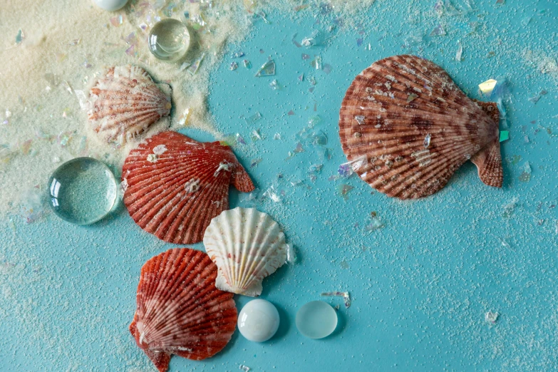 a close up of shells on a blue surface, an album cover, trending on pexels, red caviar instead of sand, turquoise and venetian red, splashes, pearls