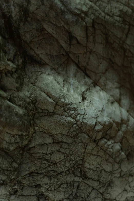 a couple of elephants standing next to each other, a cave painting, inspired by Jan Lievens, unsplash, conceptual art, close up of single sugar crystal, film still from a horror movie, dragon scale walls, veins