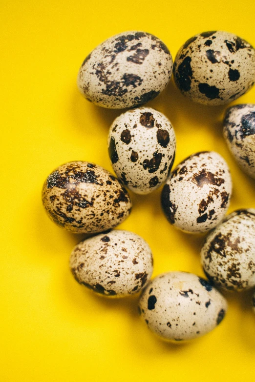 a bunch of quails sitting on top of a yellow surface, an album cover, by Jan Tengnagel, trending on unsplash, eggs, white with black spots, 15081959 21121991 01012000 4k, beans