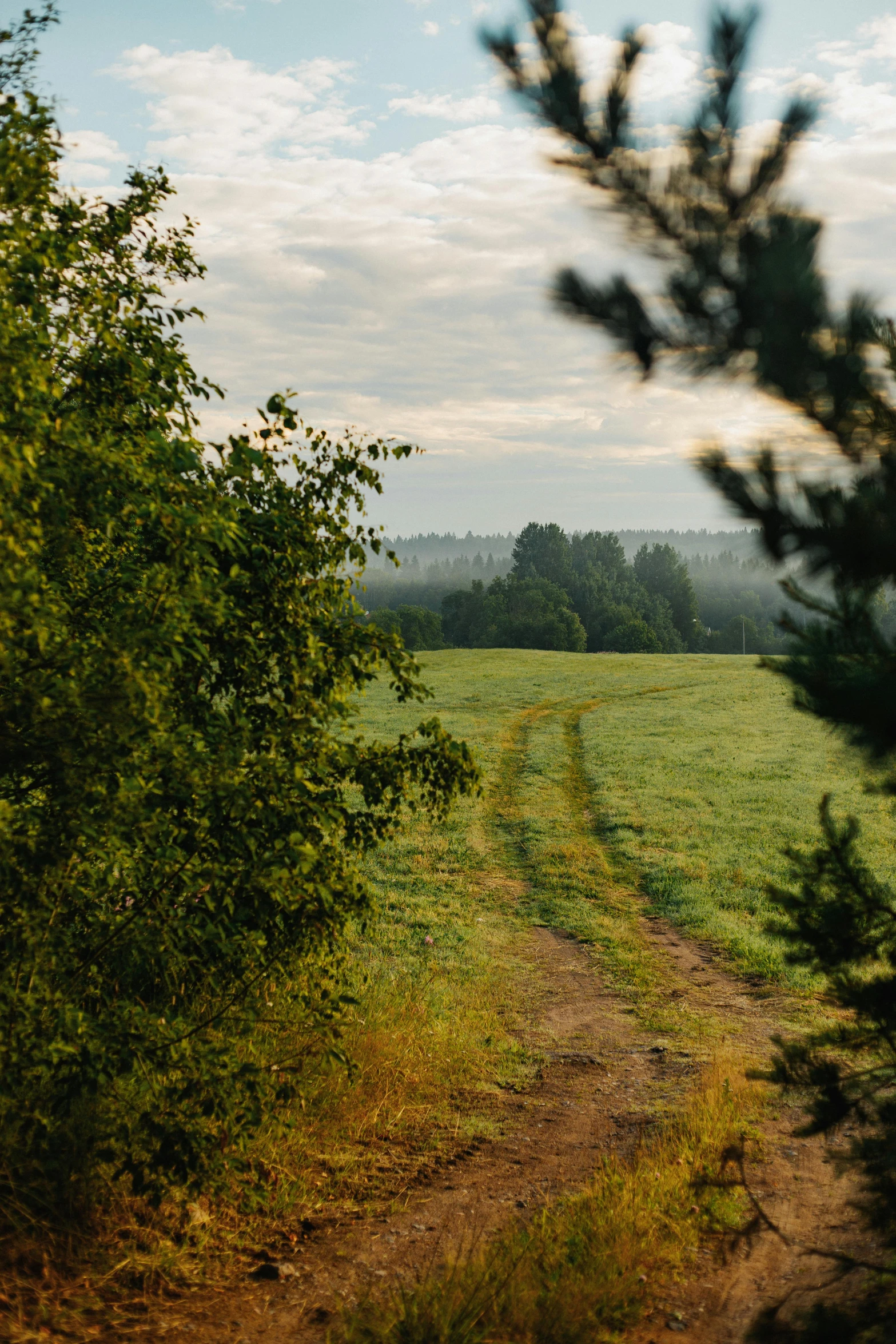 a dirt road running through a lush green field, a picture, inspired by Ivan Shishkin, unsplash, romanticism, late summer evening, grey forest in the background, view from distance, cottagecore