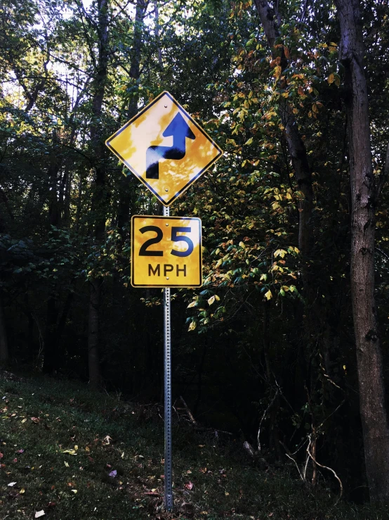 a yellow street sign sitting in the middle of a forest, speed, 2 5 year old, upon a peak in darien, profile image