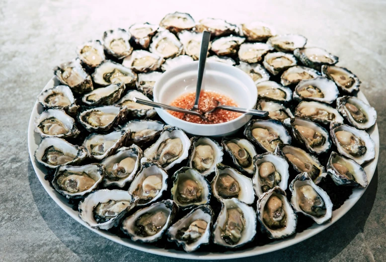 a platter of oysters with dipping sauce, a portrait, by Carey Morris, pexels, australia, 🎀 🧟 🍓 🧚, group photo, postprocessed