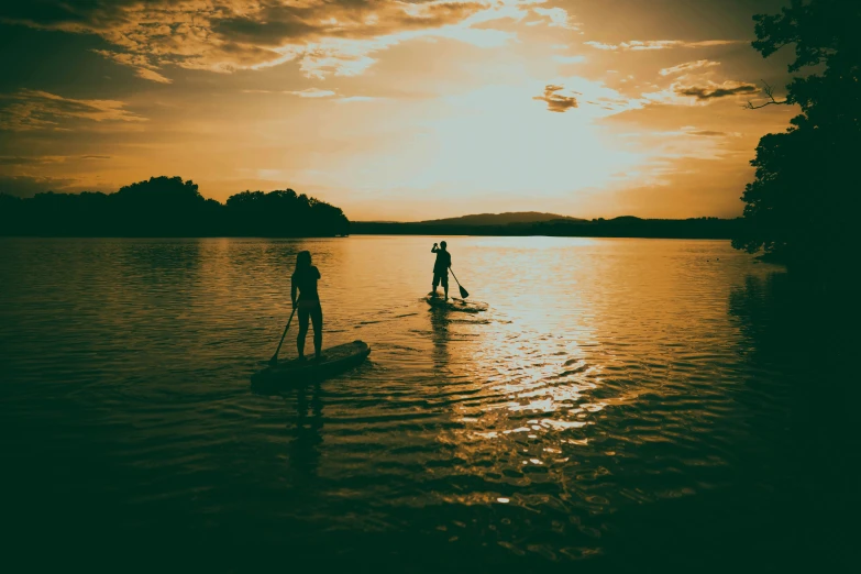 a couple of people riding paddle boards on top of a lake, by Niko Henrichon, pexels contest winner, warm glow, black, cardboard, thumbnail