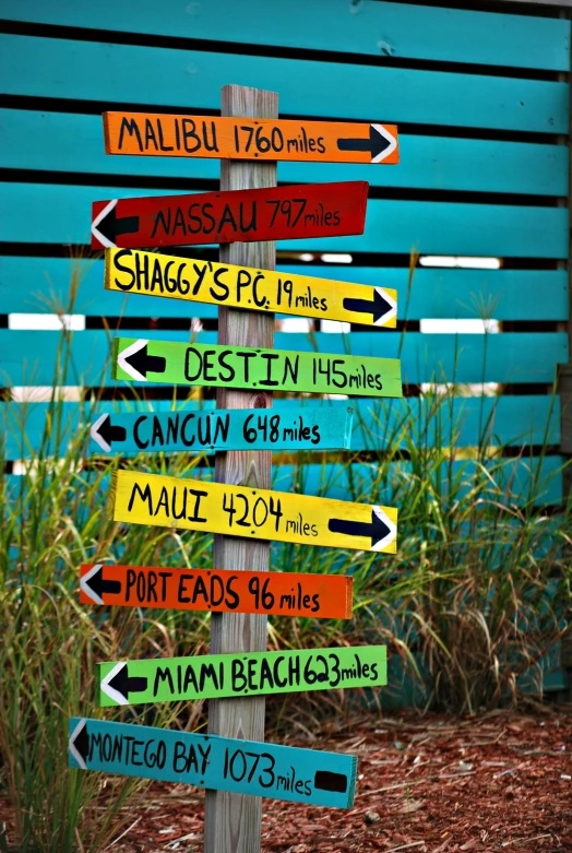 a wooden pole with a bunch of signs on it, by Jessie Algie, pexels, tropical color scheme, oh the places you'll go, sharpie, dwell