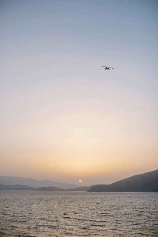 a bird flying over a large body of water, by Alexis Grimou, mountains and sunset!!, cinematic shot ar 9:16 -n 6 -g, greece, may)