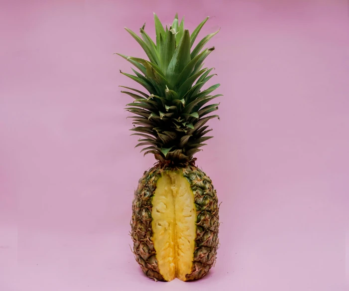 a pineapple cut in half on a pink background, by Carey Morris, pexels contest winner, single pine, various posed, 🦩🪐🐞👩🏻🦳, jungle fruit