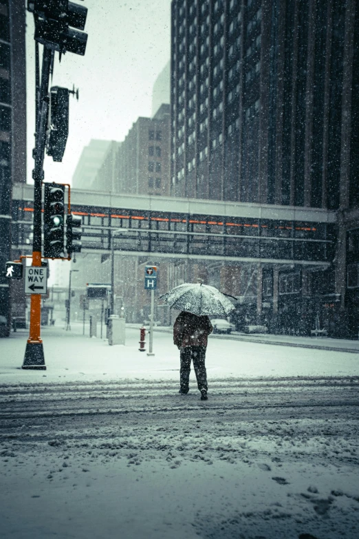 a person walking in the snow with an umbrella, a photo, by Andrew Domachowski, unsplash contest winner, modern chicago streets, sorrow, gif, minneapolis