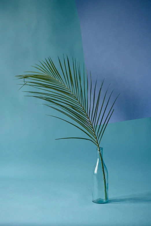 a plant in a glass vase on a blue background, an album cover, trending on unsplash, postminimalism, palm lines, shadow gradient, pastel colours overlap, shot on sony a 7 iii