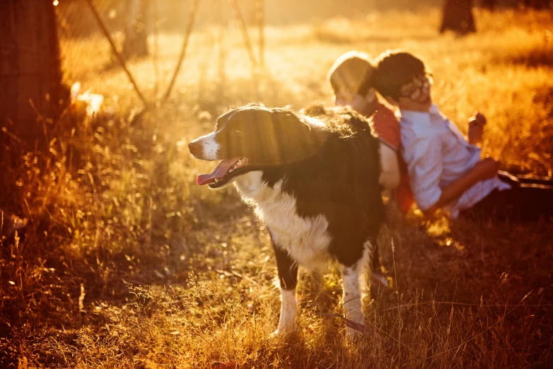 a couple of kids and a dog in a field, pexels, conceptual art, warm golden backlit, border collie, portrait image, instagram picture