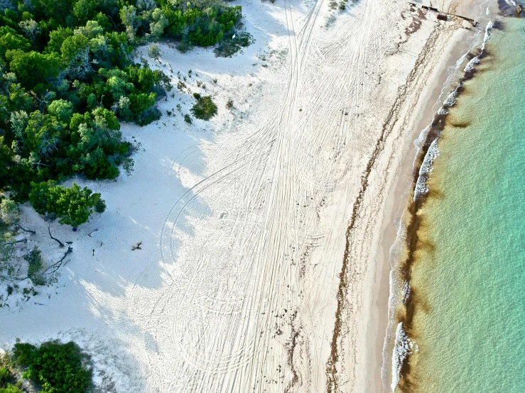 an aerial view of a beach surrounded by trees, by Julian Allen, sand, white sandy beach, campsites, kimberly asstyn