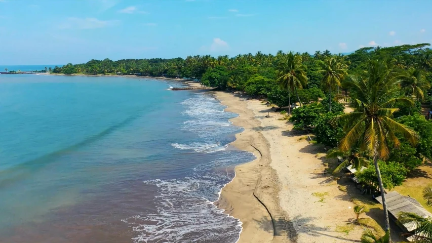 a beach lined with palm trees next to the ocean, sumatraism, chocolate, a green, exterior shot, byzantine