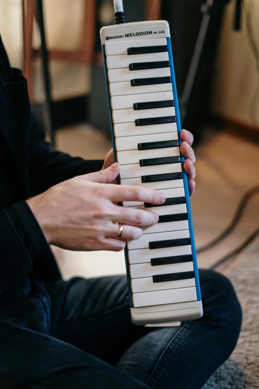 a close up of a person holding a musical instrument, keyboards, holding a pudica pose, multiple stories, half blue