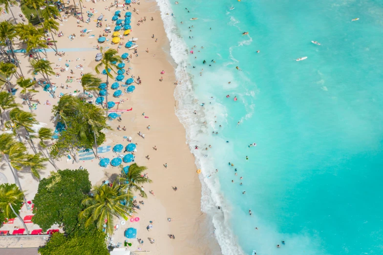 a beach filled with lots of people next to the ocean, pexels contest winner, visual art, turquoise, hawaii, flatlay, 🦩🪐🐞👩🏻🦳