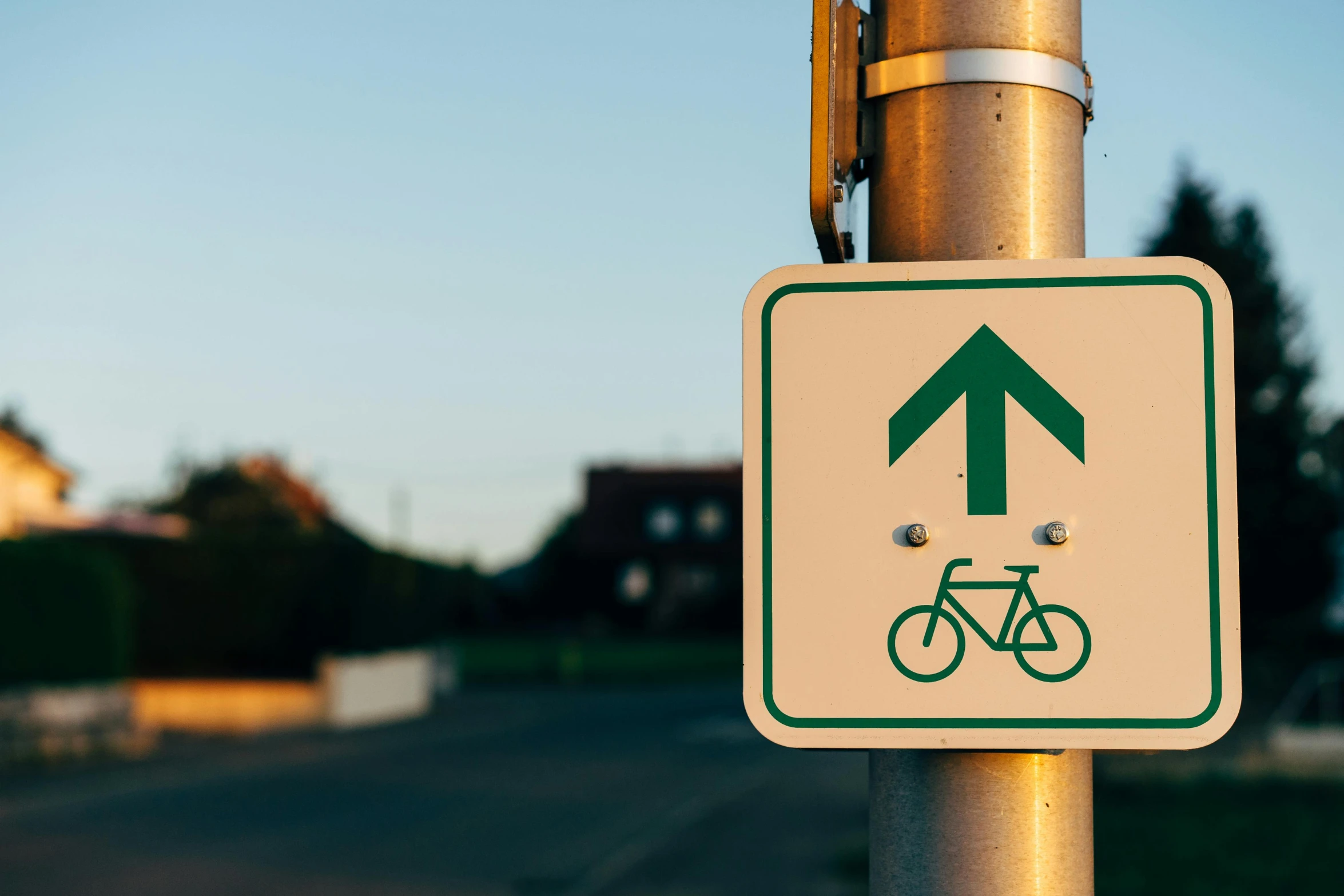 a close up of a street sign on a pole, unsplash, happening, riding a bike, a green, ilustration, pictogram