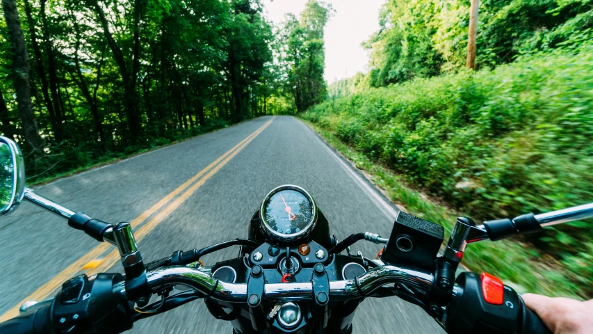 a person riding a motorcycle down a road, by Carey Morris, unsplash, fan favorite, full pov, against the backdrop of trees, a green