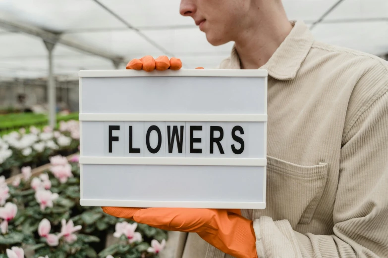 a man holding a sign that says flowers, pexels contest winner, white, alana fletcher, light box, 15081959 21121991 01012000 4k