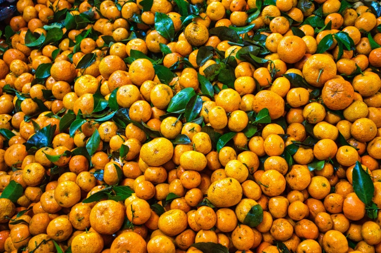 a large pile of oranges with green leaves, by Dietmar Damerau, pexels, process art, chile, thumbnail, 🦩🪐🐞👩🏻🦳, chinese