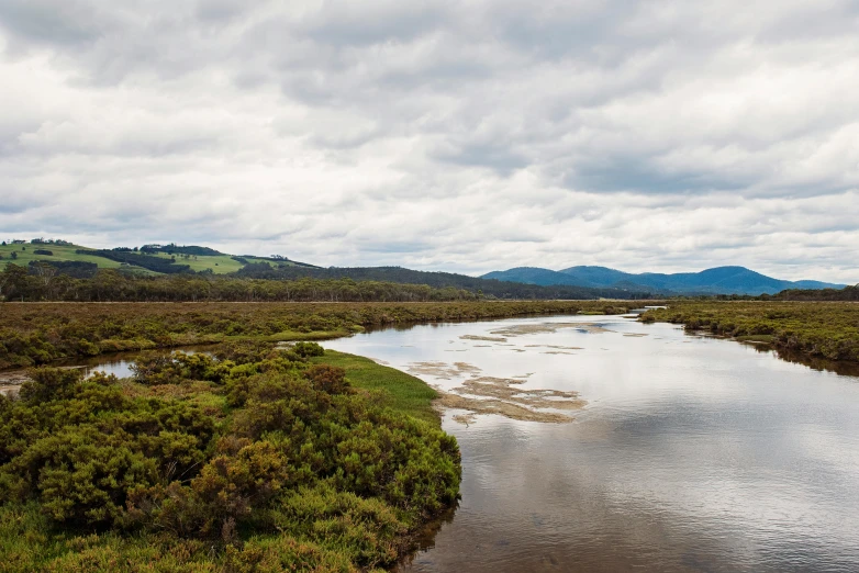 a river running through a lush green field, by Peter Churcher, unsplash, hurufiyya, “ iron bark, with mountains in the distance, overcast day, panoramic view