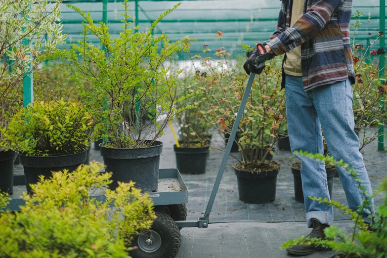 a man pushing a cart filled with potted plants, by Bernie D’Andrea, pexels contest winner, holding a crowbar, shrubs, grey, lined up horizontally