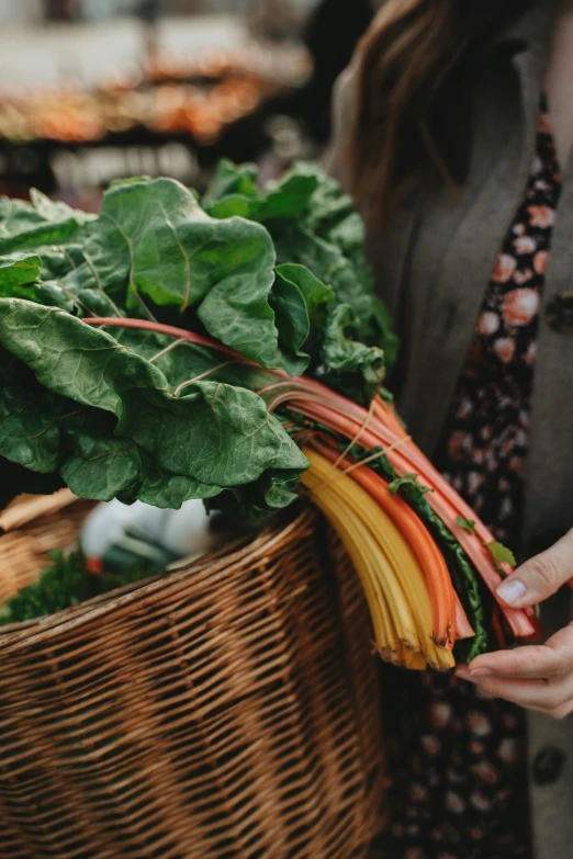 a woman holding a basket full of vegetables, pexels, dynamic closeup, paul barson, market setting, greens