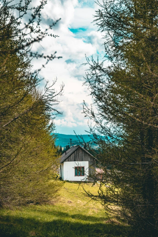 a small house in the middle of a forest, by Adam Szentpétery, unsplash contest winner, slovakia, pine trees in the background, 2 0 0 0's photo, several cottages