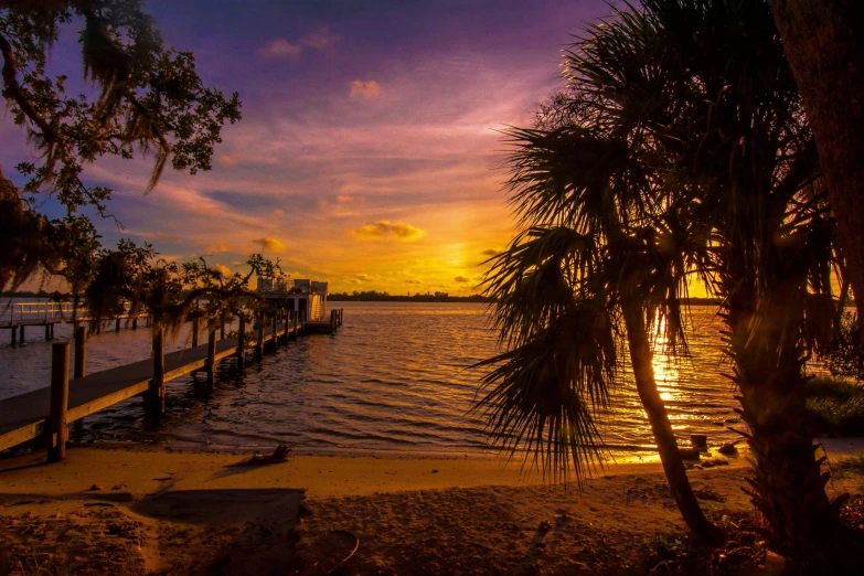 a sunset over a body of water with palm trees, boat dock, gilligan's island, profile image, fan favorite