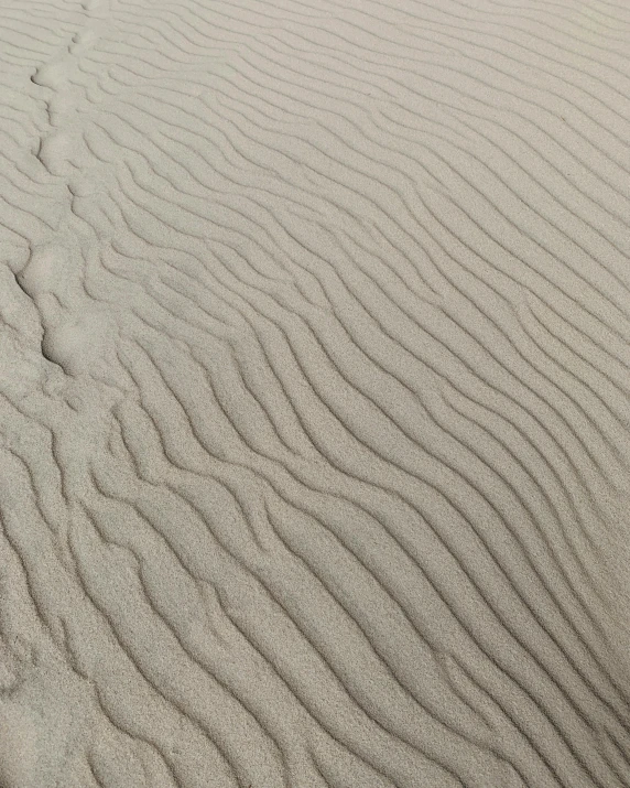 footprints in the sand on a beach, an album cover, inspired by Edward Weston, unsplash, land art, rippling electromagnetic, light tan, grey, detailed lines