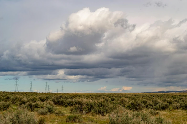 a herd of cattle grazing on top of a lush green field, by Arnie Swekel, unsplash, land art, big storm clouds, new mexico desert, pylons, background image