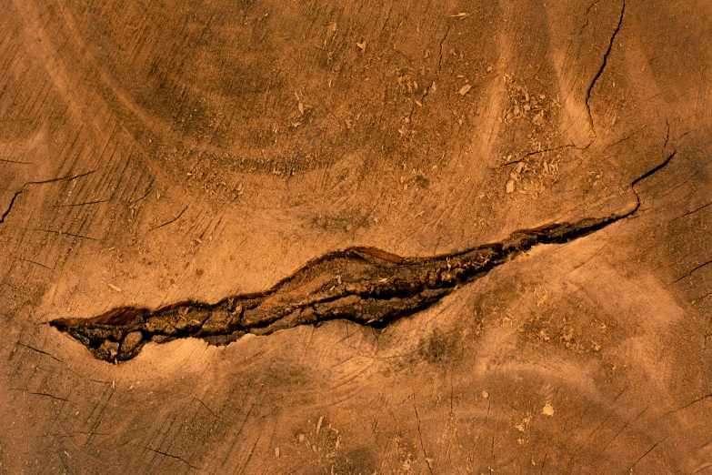 a piece of wood that has been cut in half, by Peter Churcher, pexels, cracks of magma, background image, brown, bird's eye