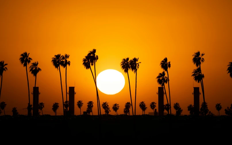 palm trees are silhouetted against the setting sun, by Dave Melvin, pexels contest winner, city of industry, spines and towers, two suns, print ready