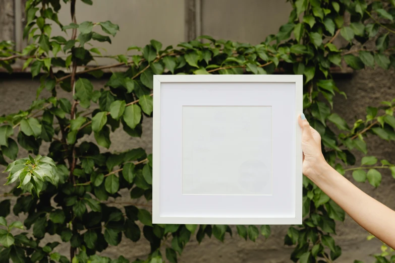 a person holding up a white picture frame, inspired by Agnes Martin, pexels contest winner, square pictureframes, outdoor photo, botanical print, ilustration