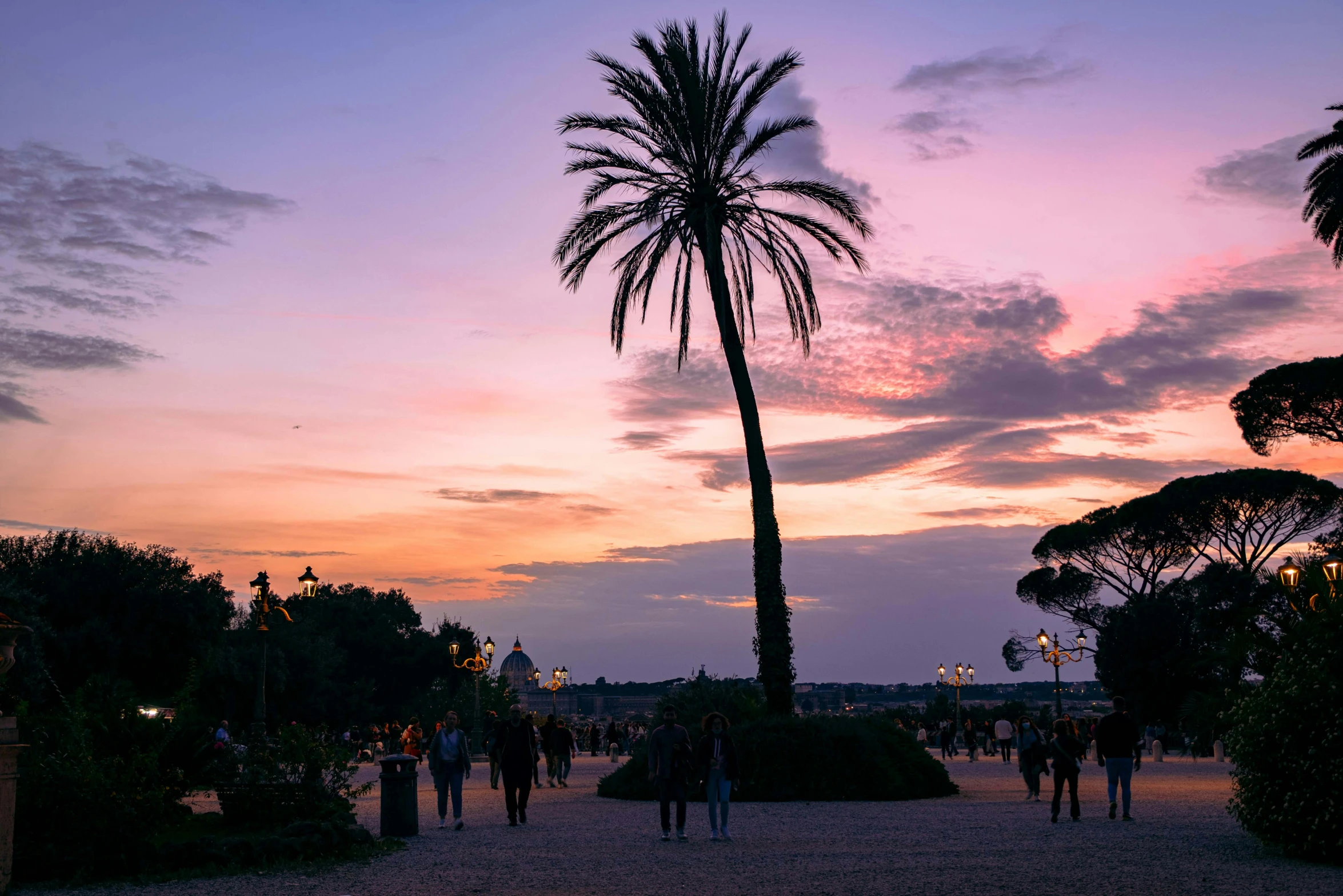 a palm tree sitting in the middle of a park, by Julia Pishtar, pexels contest winner, romanticism, venice at dusk, lots of people, soft lilac skies, profile image