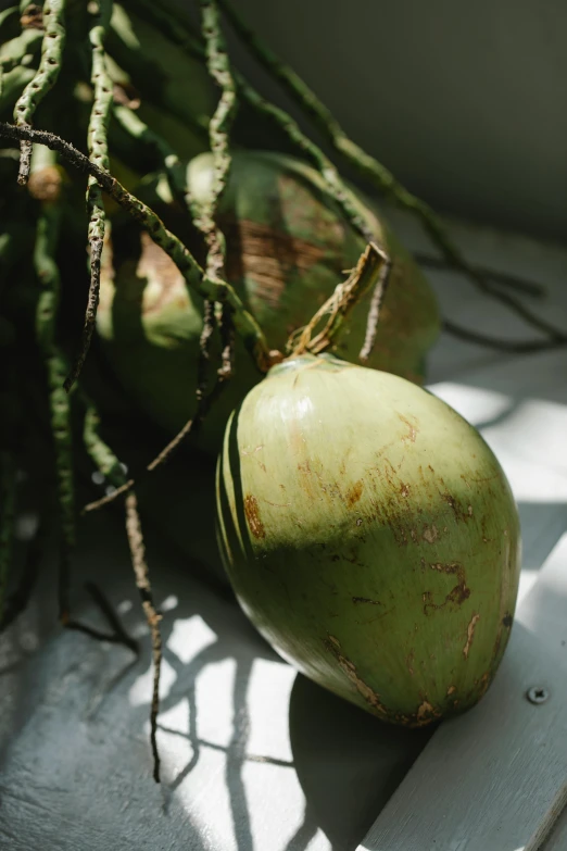 a bunch of fruit sitting on top of a table, a picture, coconuts, pale green glow, up close image, manila