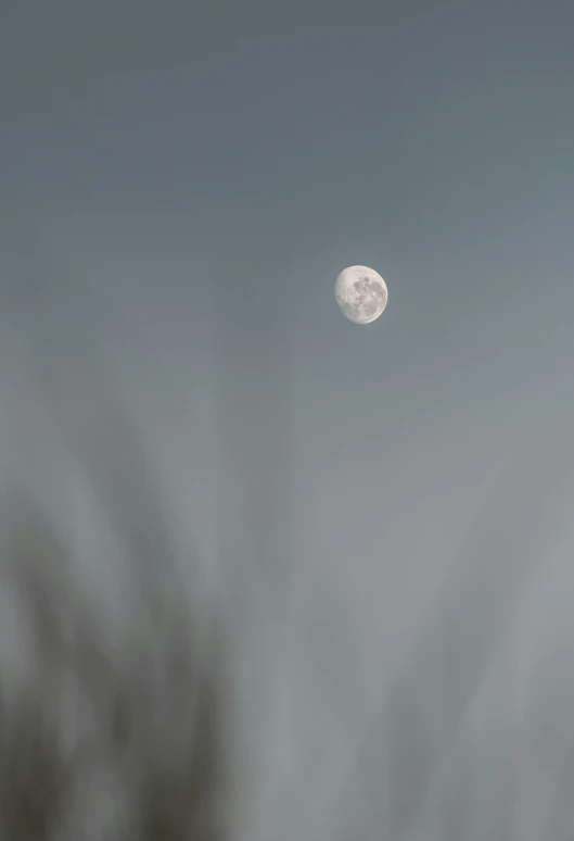 a full moon is seen through the clouds, a portrait, by Jan Tengnagel, minimalism, overcast bokeh - c 5, paul barson, 15081959 21121991 01012000 4k