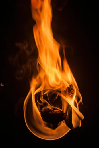 a close up of a plate of food on fire, an album cover, unsplash, renaissance, fire poi, profile image, fireflys, profile picture